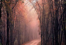 蜂鸟电竞官网：詹姆斯：无论发生什么都要保持平稳心态 执行比赛计划就有机会赢.