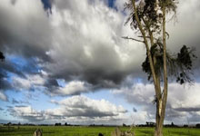 祝贺!潘展乐夺游泳世界杯男子100米自由泳金牌央视新闻客户端.